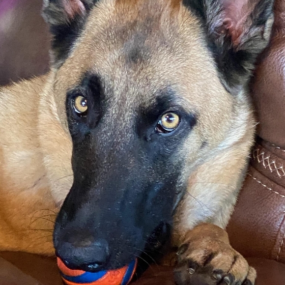 Meet your Posher, Debi - Picture 1 of 1